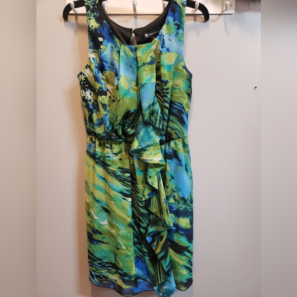 Valerie Bertinelli Sleeveless Ruffle Front Dress, 8